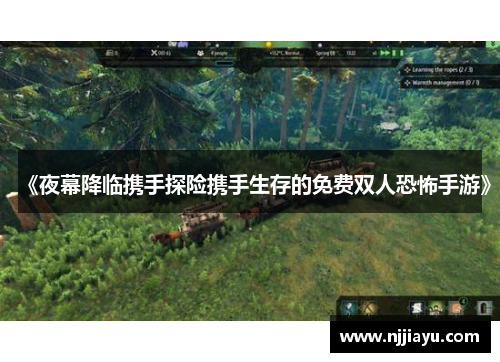 《夜幕降临携手探险携手生存的免费双人恐怖手游》