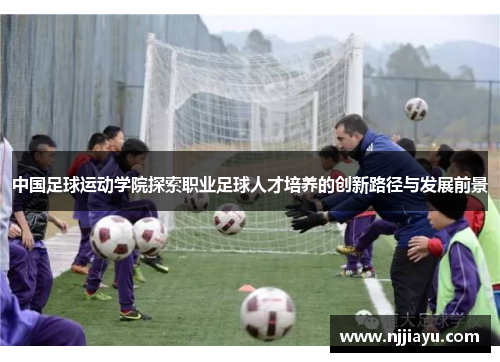 中国足球运动学院探索职业足球人才培养的创新路径与发展前景