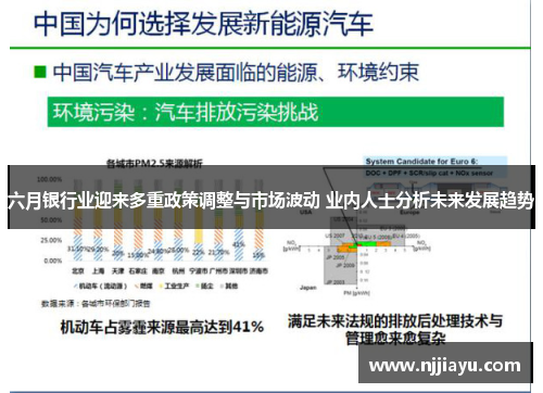 六月银行业迎来多重政策调整与市场波动 业内人士分析未来发展趋势